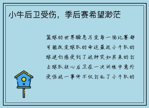 小牛后卫受伤，季后赛希望渺茫